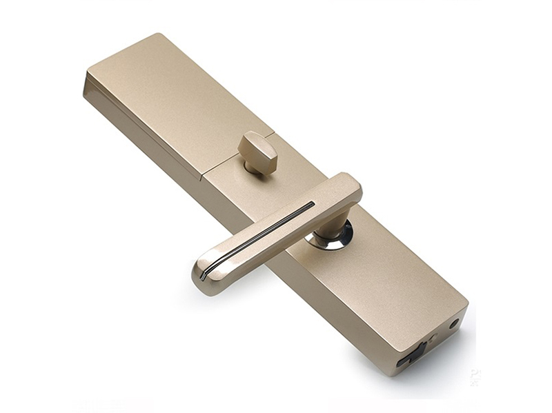 Khóa vân tay  Dessmann G810-FP - ảnh 3