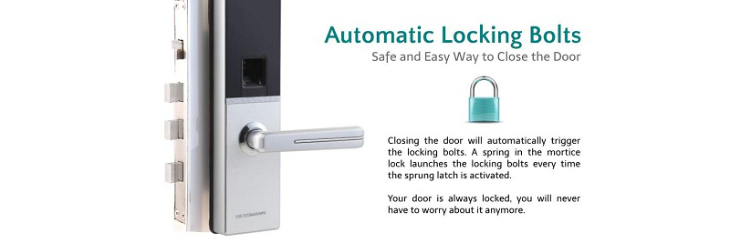 Khóa cửa vân tay Dessmann G810-FP- ảnh 6