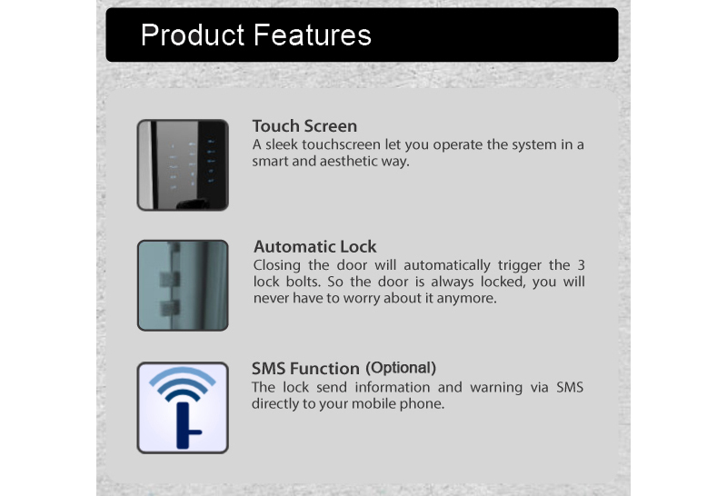 Khóa cửa vân tay Dessmann G810-FP- ảnh 7