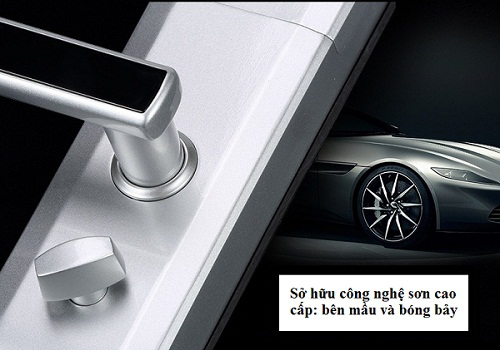 Khóa vân tay Dessmann G811-2 - ảnh 3