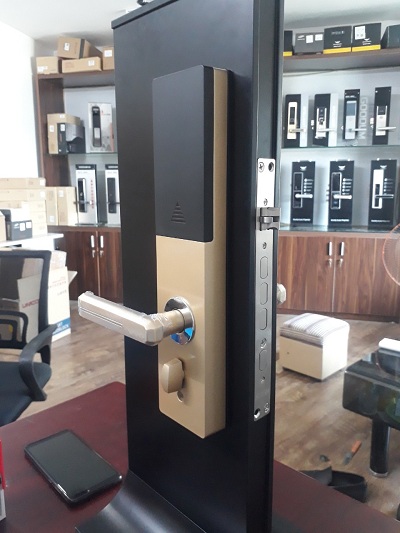 Khóa vân tay Dessmann G811-2 - ảnh 6