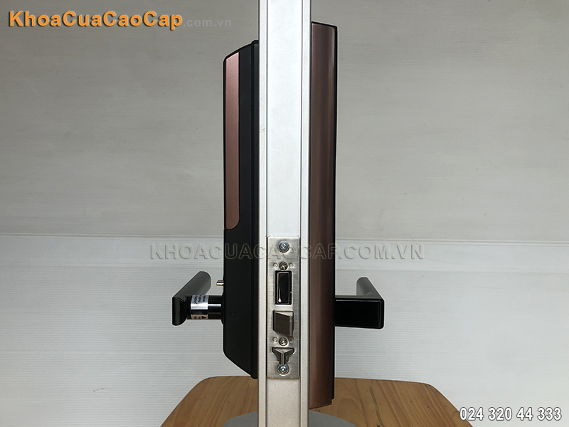 Hình ảnh khóa vân tay SHP-DH538 - 15
